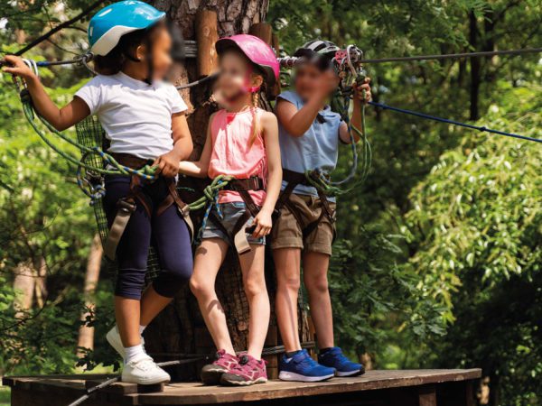 Nature activities in the forest