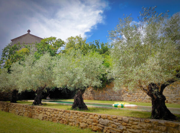 Patio dans le jardin